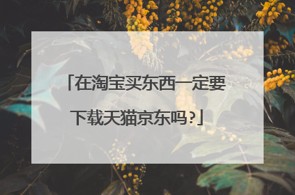 在淘宝买东西一定要下载天猫京东吗?