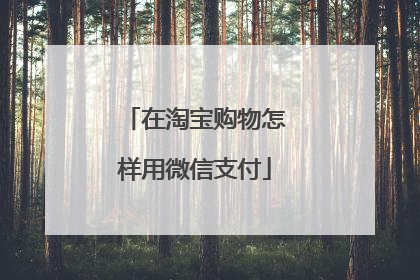 在淘宝购物怎样用微信支付
