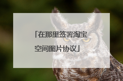 在那里签署淘宝空间图片协议