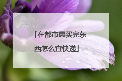 在都市惠买完东西怎么查快递