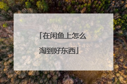 在闲鱼上怎么淘到好东西