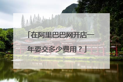在阿里巴巴网开店一年要交多少费用?
