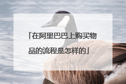 在阿里巴巴上购买物品的流程是怎样的