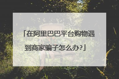 在阿里巴巴平台购物遇到商家骗子怎么办?