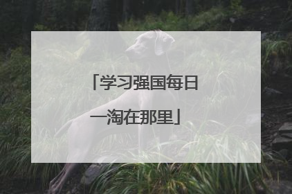 学习强国每日一淘在那里