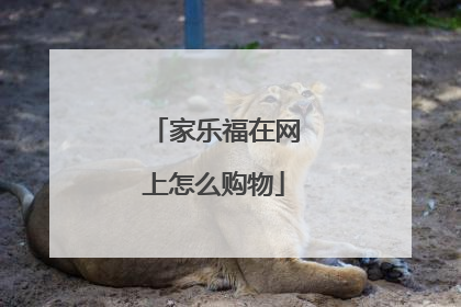家乐福在网上怎么购物