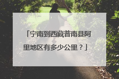 宁南到西藏普南县阿里地区有多少公里?