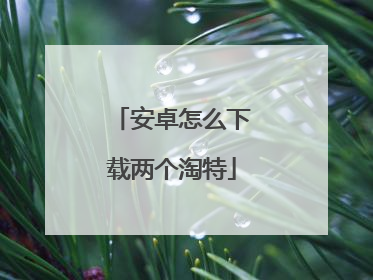 安卓怎么下载两个淘特