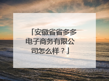 安徽省省多多电子商务有限公司怎么样？