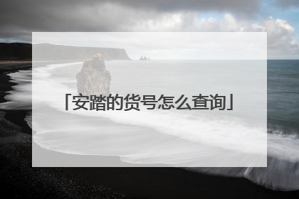 安踏的货号怎么查询