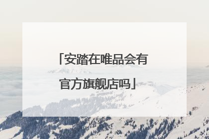 安踏在唯品会有官方旗舰店吗