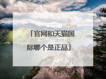 官网和天猫国际哪个是正品