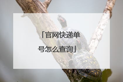 官网快递单号怎么查询