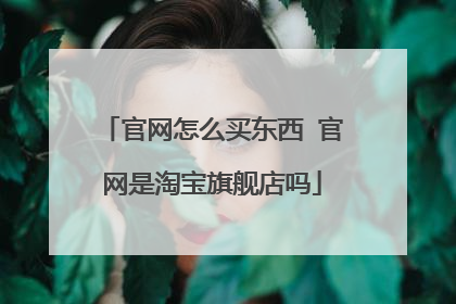 官网怎么买东西 官网是淘宝旗舰店吗