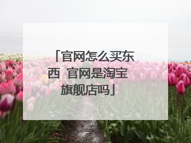 官网怎么买东西 官网是淘宝旗舰店吗