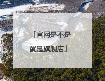 官网是不是就是旗舰店