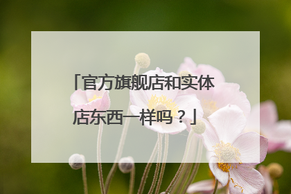 官方旗舰店和实体店东西一样吗?