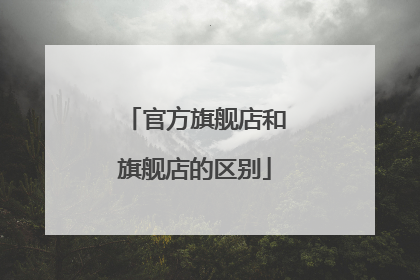 官方旗舰店和旗舰店的区别