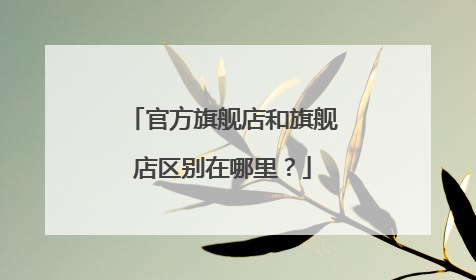 官方旗舰店和旗舰店区别在哪里?