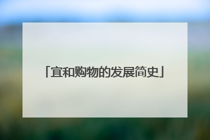 宜和购物的发展简史