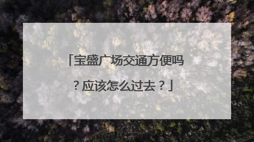 宝盛广场交通方便吗?应该怎么过去?