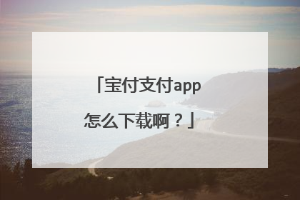 宝付支付app怎么下载啊?