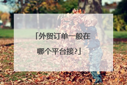 外贸订单一般在哪个平台接?