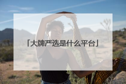 大牌严选是什么平台