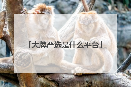 大牌严选是什么平台
