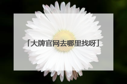 大牌官网去哪里找呀