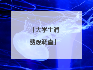大学生消费观调查