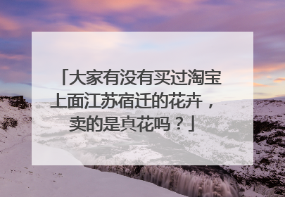 大家有没有买过淘宝上面江苏宿迁的花卉,卖的是真花吗?