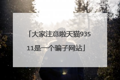 大家注意啦天猫93511是一个骗子网站