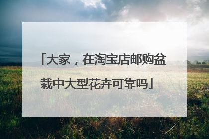 大家,在淘宝店邮购盆栽中大型花卉可靠吗
