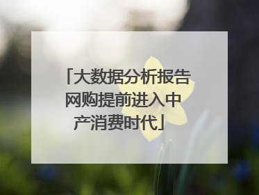 大数据分析报告 网购提前进入中产消费时代