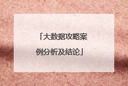 大数据攻略案例分析及结论