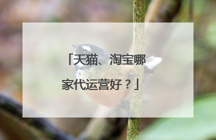 天猫、淘宝哪家代运营好?