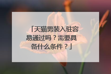 天猫男装入驻容易通过吗?需要具备什么条件?