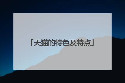天猫的特色及特点
