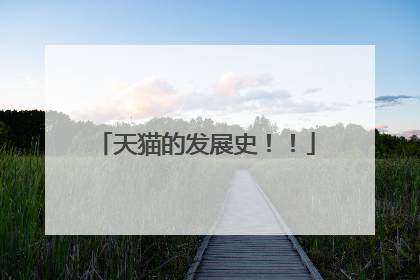 天猫的发展史!!