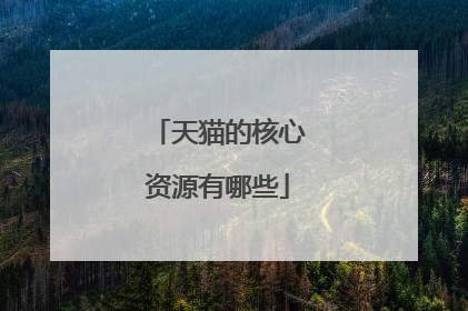 天猫的核心资源有哪些