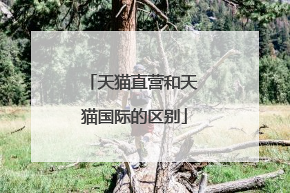 天猫直营和天猫国际的区别