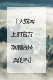天猫网上的官方旗舰店是真的吗