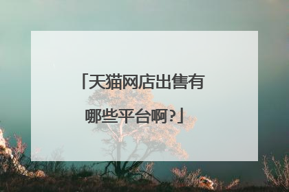 天猫网店出售有哪些平台啊?