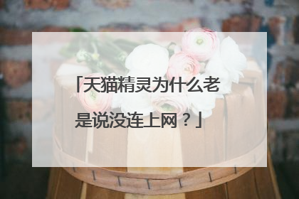 天猫精灵为什么老是说没连上网?