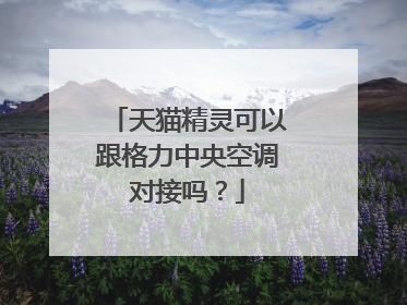 天猫精灵可以跟格力中央空调对接吗?