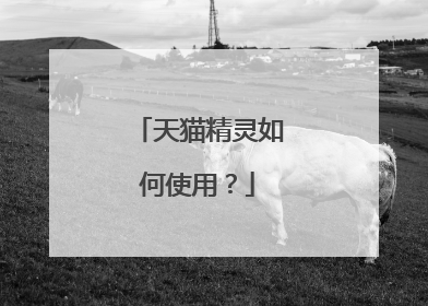 天猫精灵如何使用？