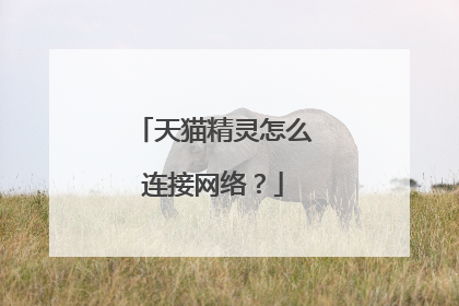 天猫精灵怎么连接网络?