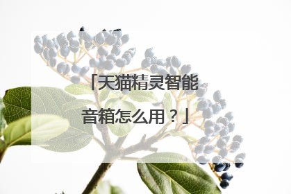 天猫精灵智能音箱怎么用？