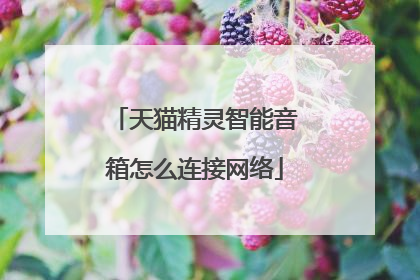 天猫精灵智能音箱怎么连接网络